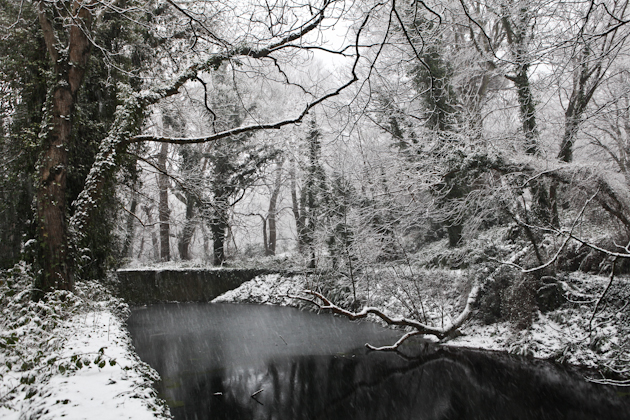 Reservoir // Killruddery